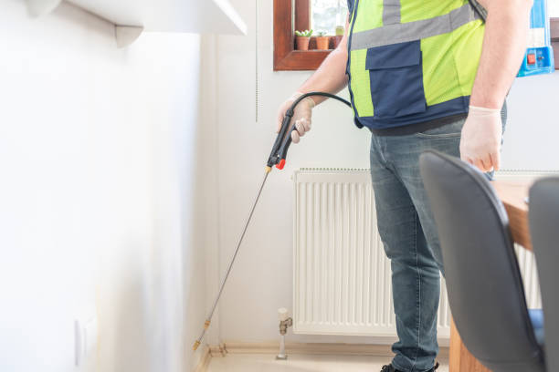 Best Rat Extermination Near Me  in Point Baker, FL