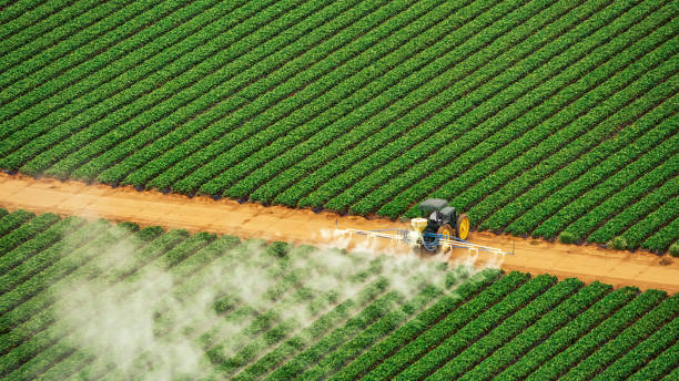 Reliable Point Baker, FL Pest Control Solutions