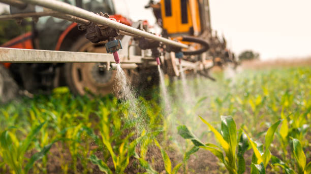 Best Ant Control Services  in Point Baker, FL